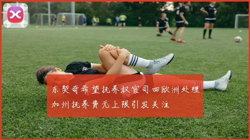 东契奇希望抚养权官司回欧洲处理加州抚养费无上限引发关注